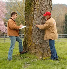 Reliable landscape design near you in Temecula, CA by Tree Doctor USA