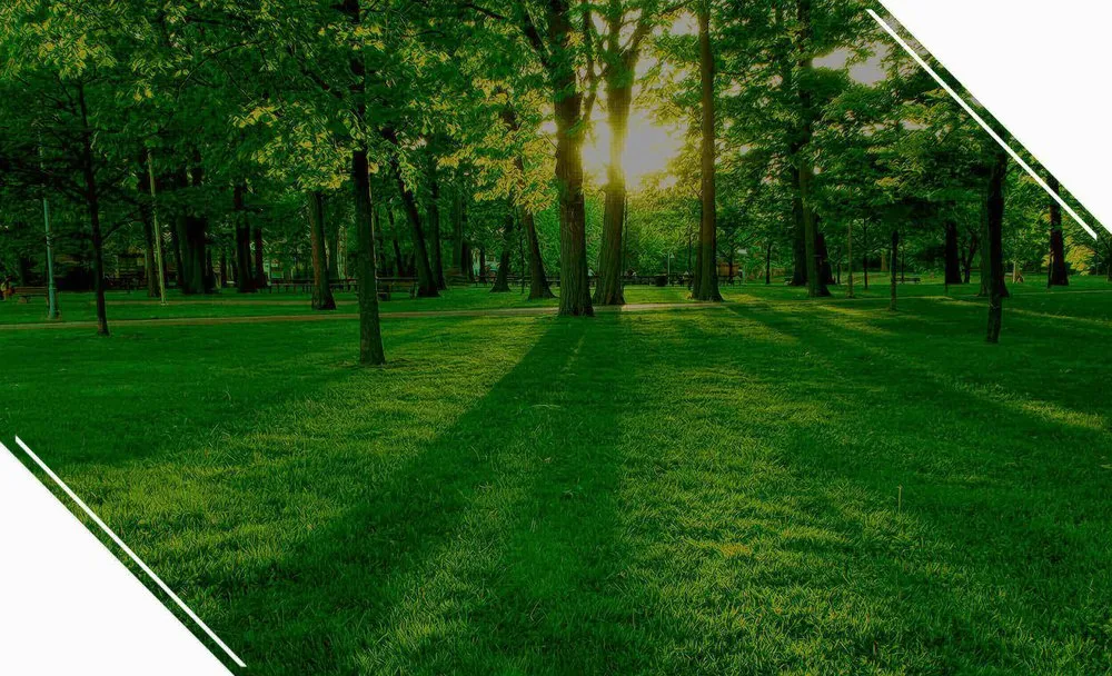 Top-rated garden landscaping near you across Temecula, CA - Tree Doctor USA