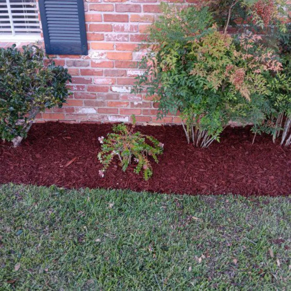 Expert yard maintenance near you across Lafayette, LA - Tree Down