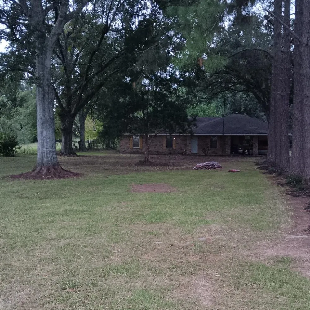 Professional lawn care service in Lafayette, LA - Tree Down