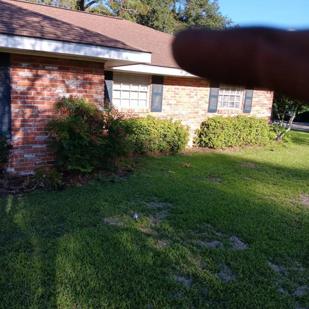 Top-rated landscape installation in Lafayette, LA by Tree Down