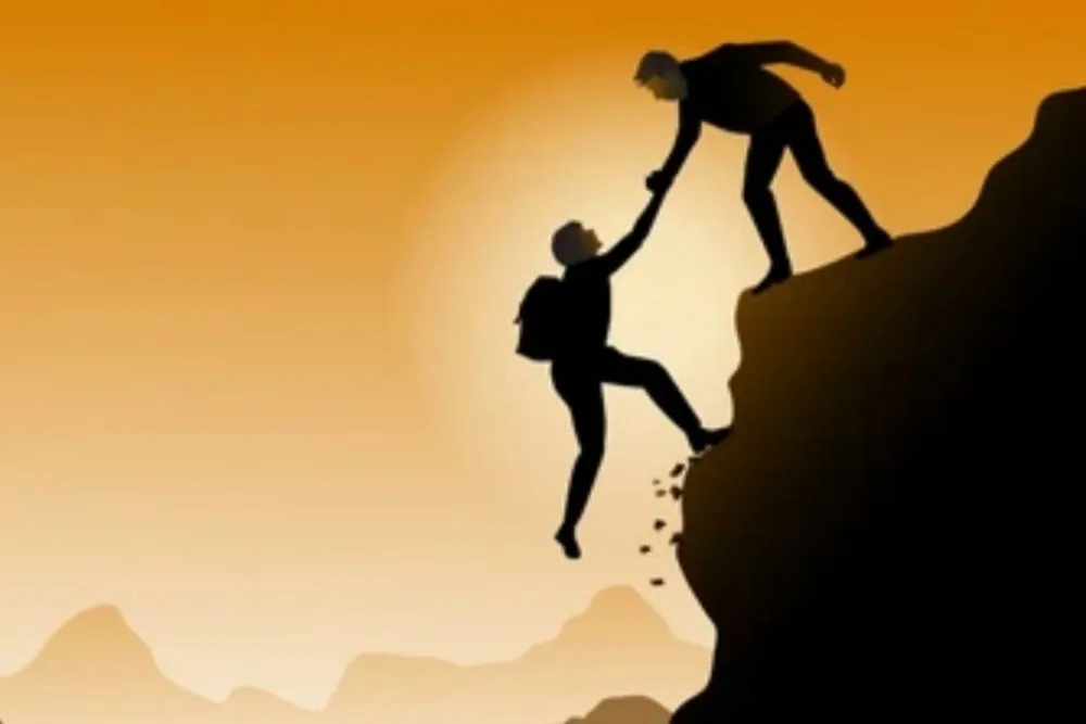 Local landscape design for outdoor upgrades in Lafayette, LA by Tree Down