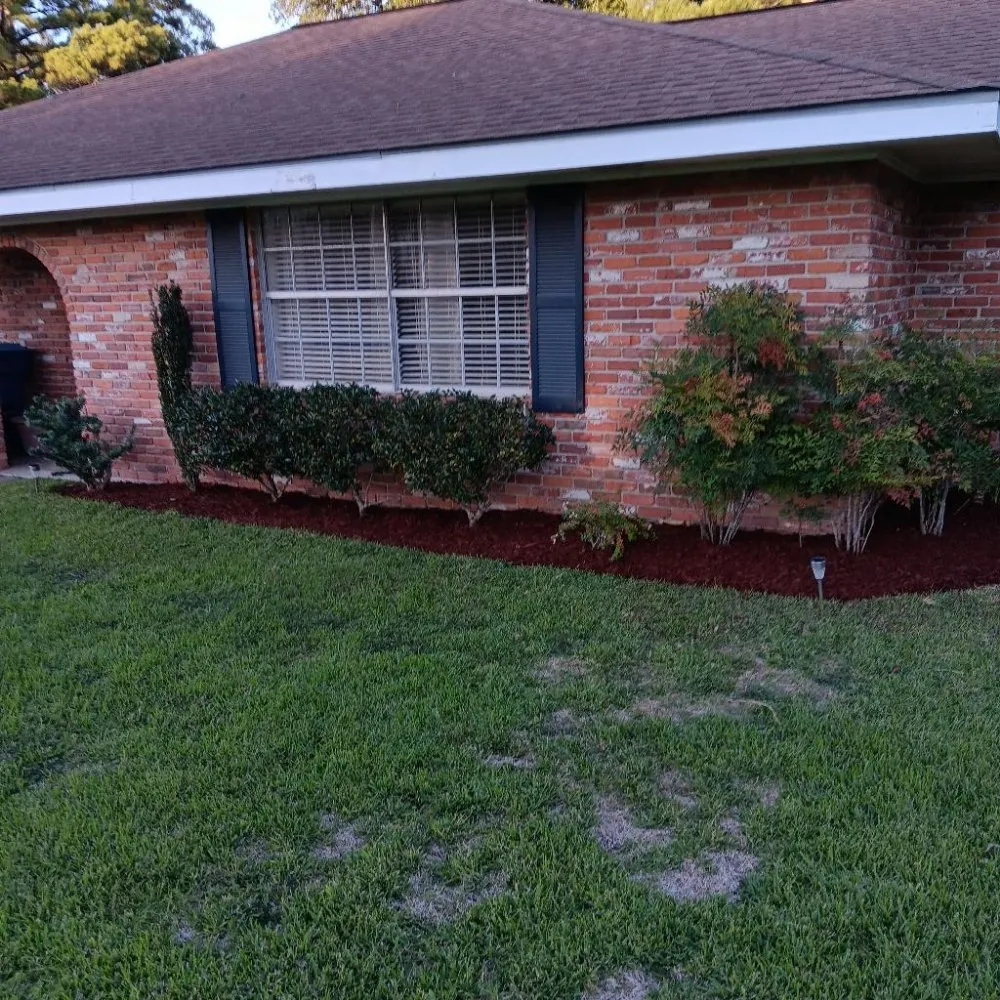 Custom residential landscaping in Lafayette, LA - Tree Down