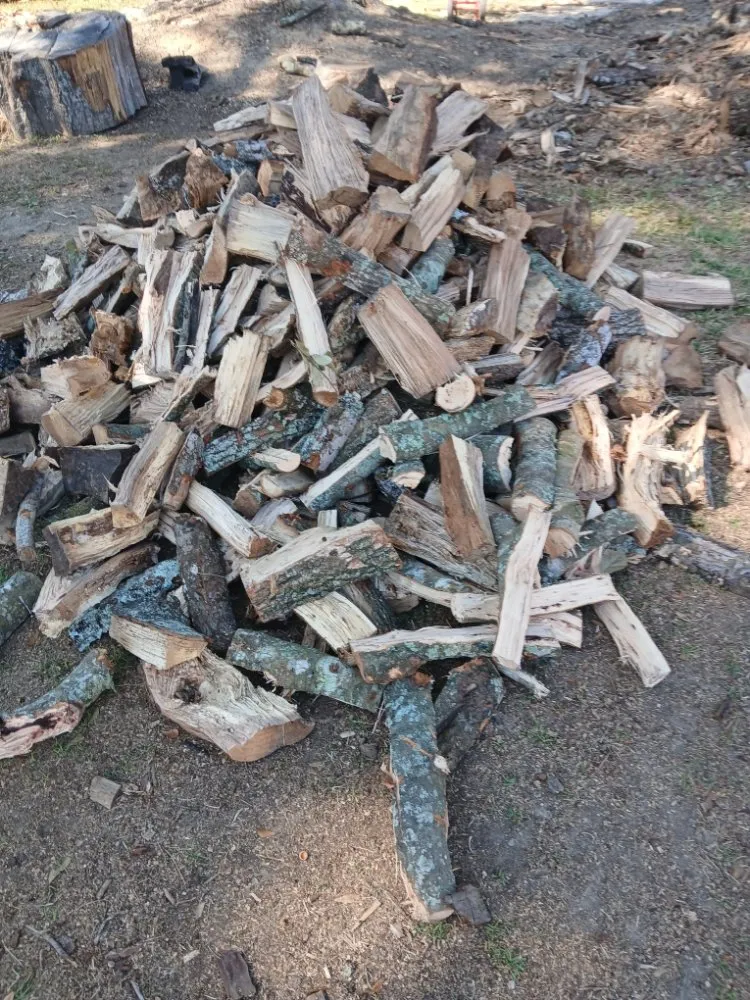 Expert lawn mowing service experts serving Lafayette, LA - Tree Down