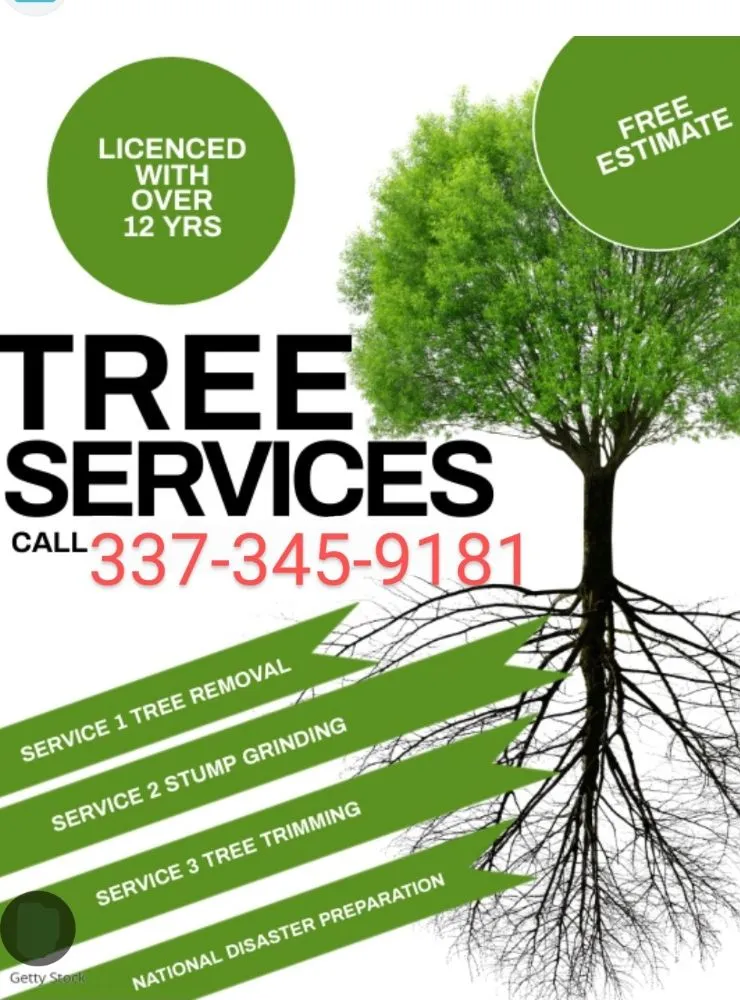 Professional lawn mowing service in Lafayette, LA - Tree Down