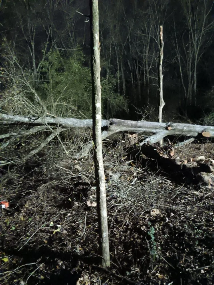 Local outdoor landscaping for year-round maintenance across Lafayette, LA - Tree Down
