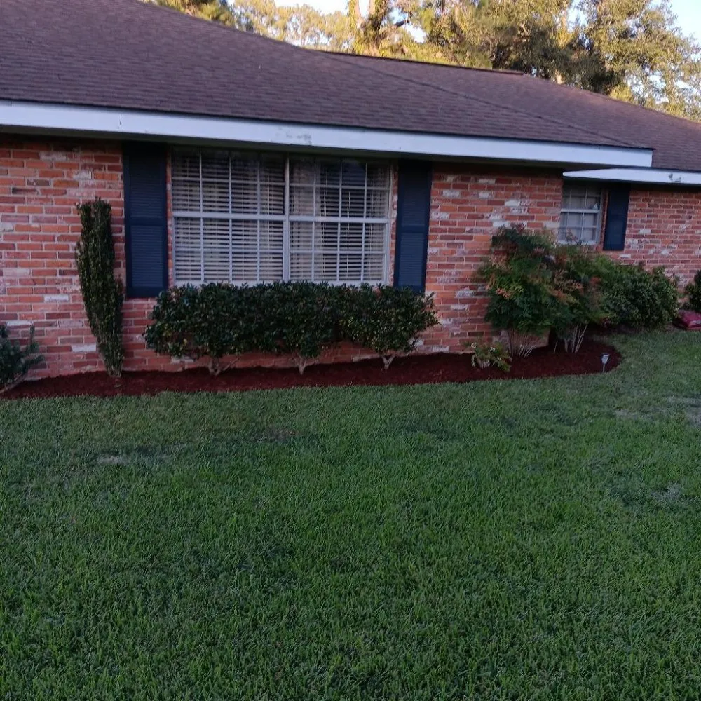 Reliable landscaping services in Lafayette, LA by Tree Down