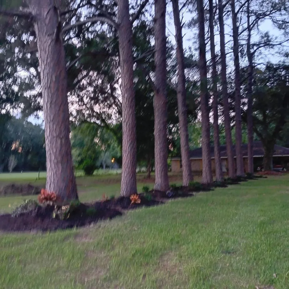Trusted residential landscaping in Lafayette, LA by Tree Down