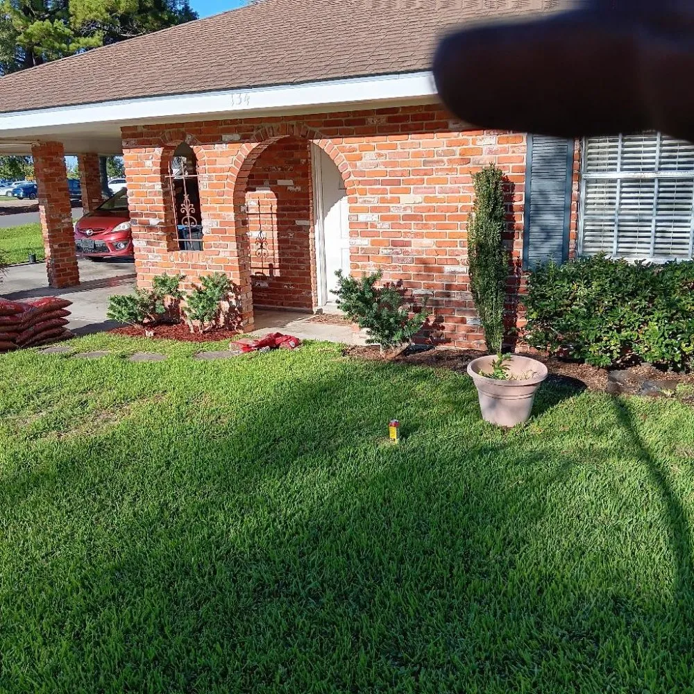 Top-rated outdoor landscaping near you in Lafayette, LA by Tree Down