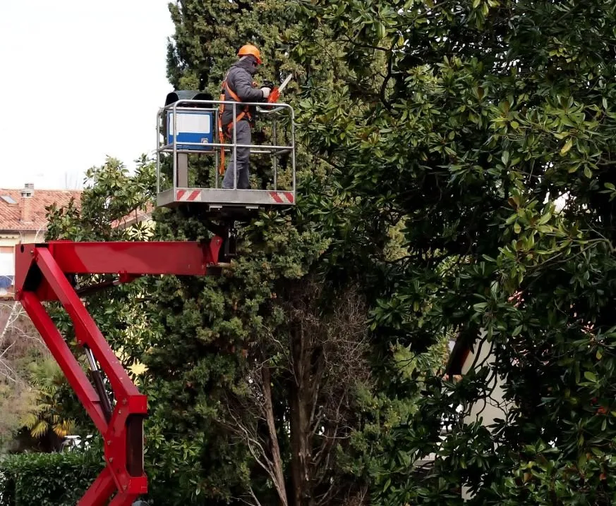 Top-rated outdoor landscaping experts serving North Miami, FL - Tree Drop Landscaping