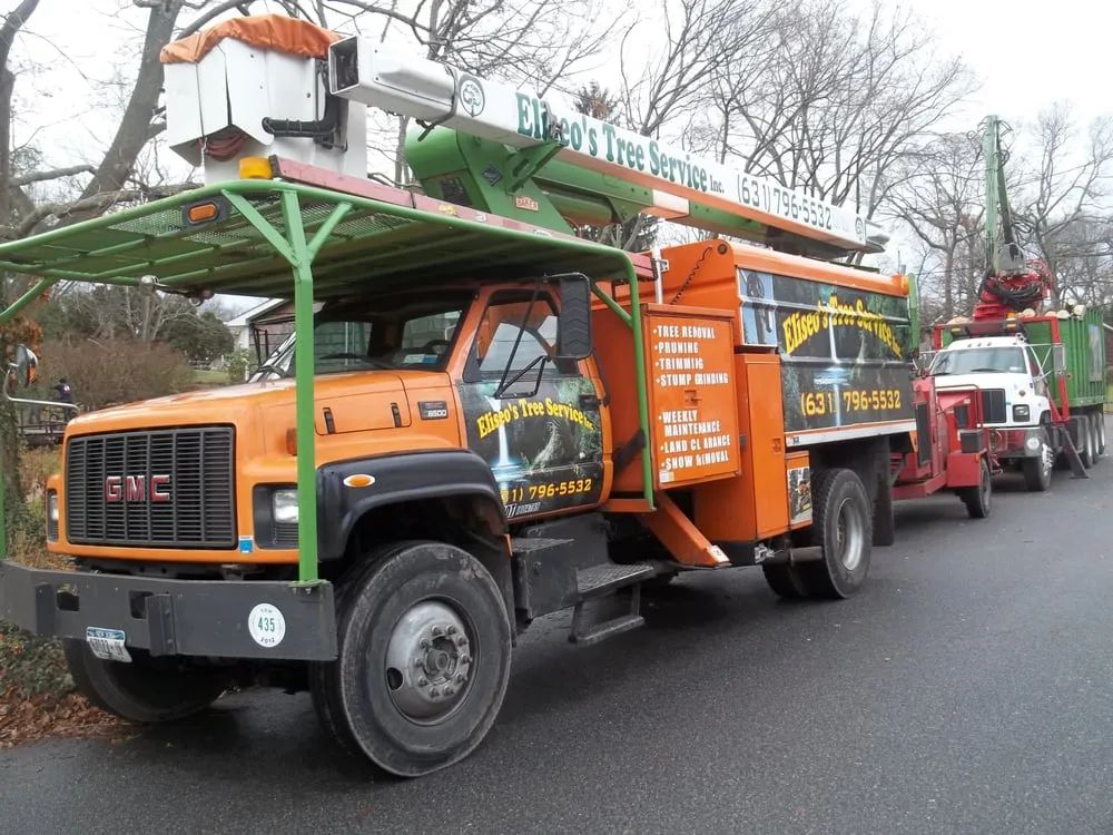 Expert landscape design in Brentwood, NY by Tree Ease