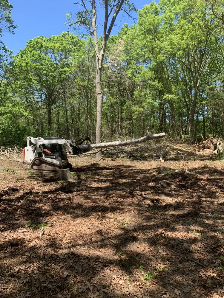 Local lawn mowing service in Brentwood, NY by Tree Ease