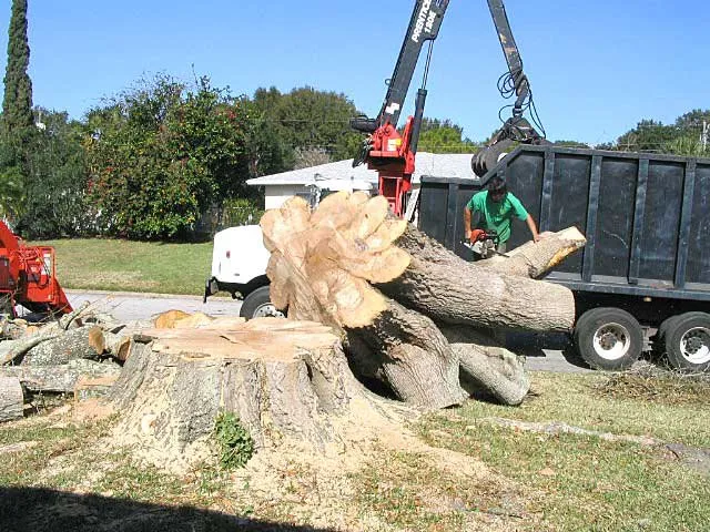 Trusted outdoor landscaping in Brentwood, NY by Tree Ease