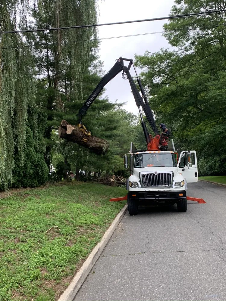 Local yard cleanup service experts serving Brentwood, NY - Tree Ease