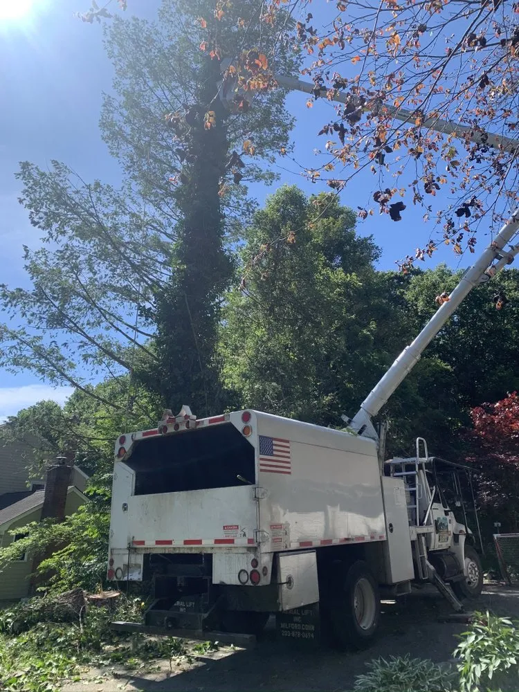 Expert outdoor landscaping near you in Brentwood, NY by Tree Ease