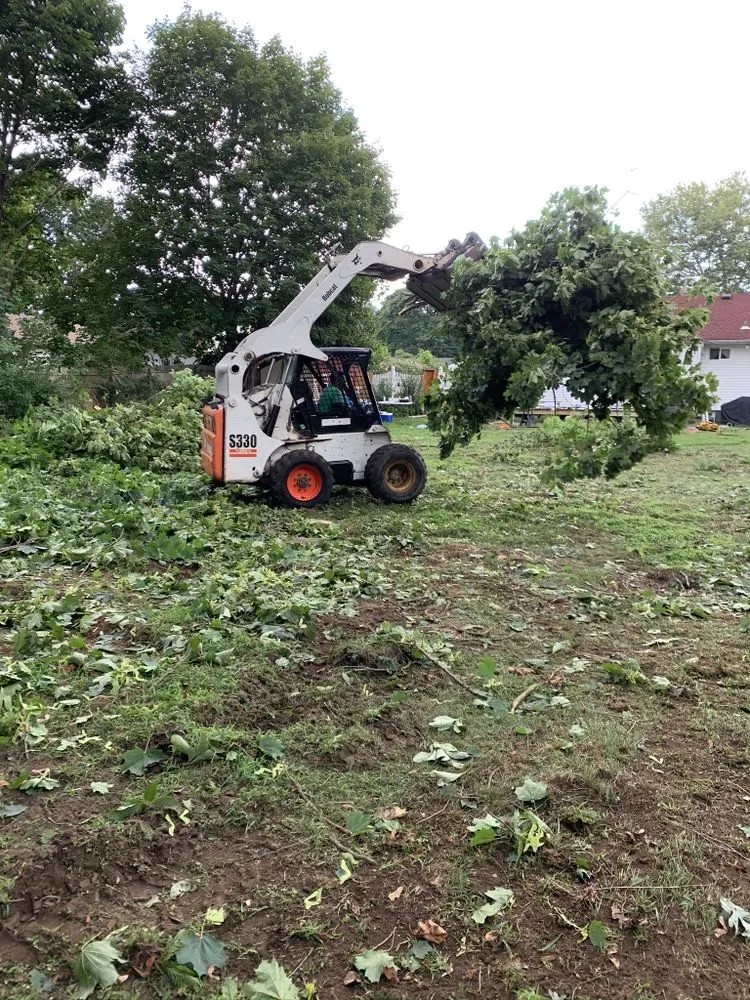 Top-rated yard maintenance experts serving Brentwood, NY - Tree Ease