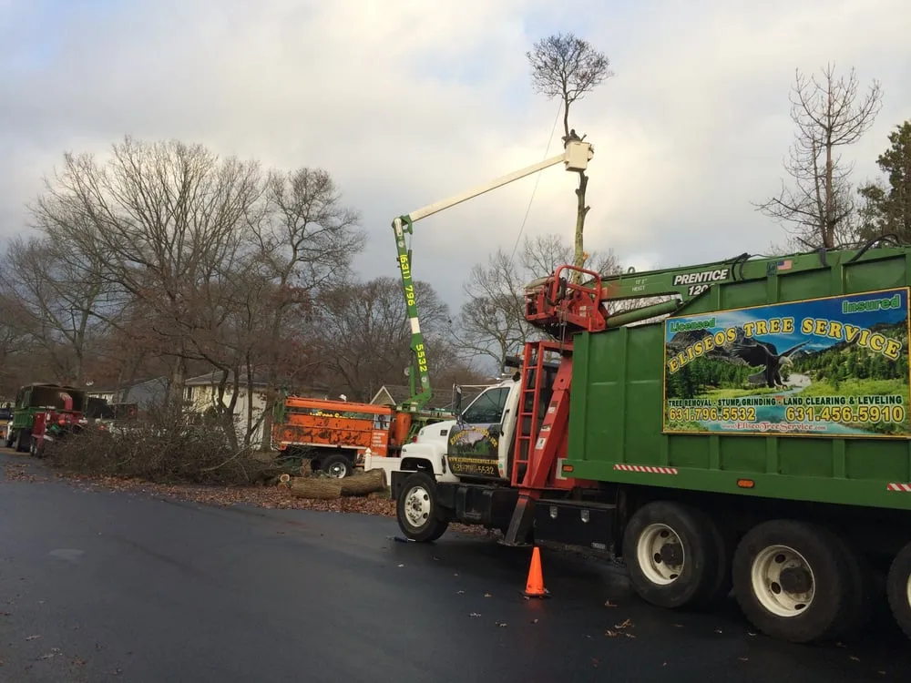 Professional garden landscaping experts serving Brentwood, NY - Tree Ease