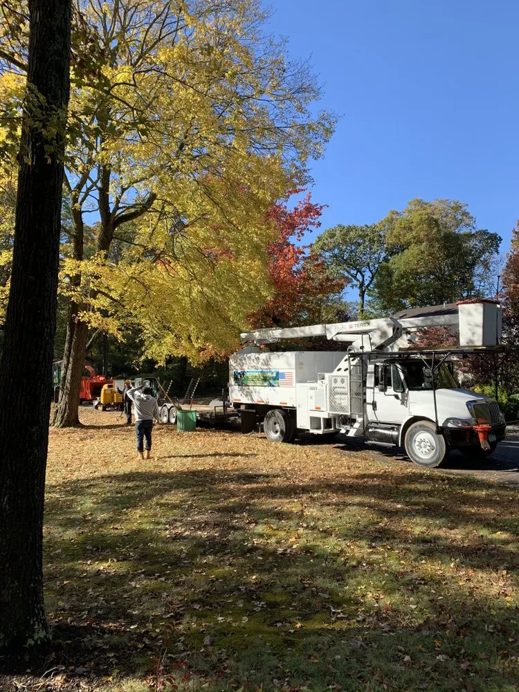 Expert landscape installation for outdoor upgrades across Brentwood, NY - Tree Ease