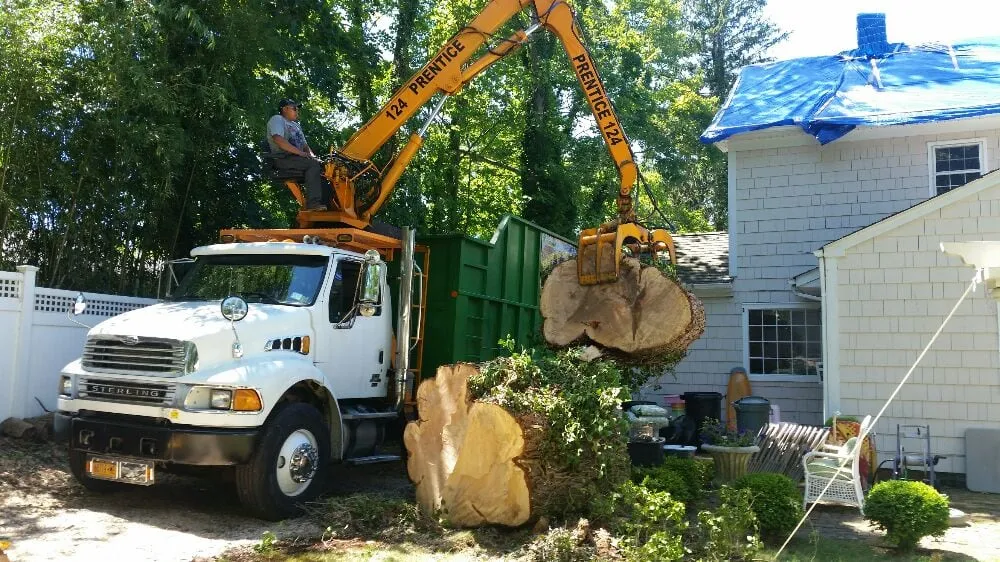 Local residential landscaping experts serving Brentwood, NY - Tree Ease