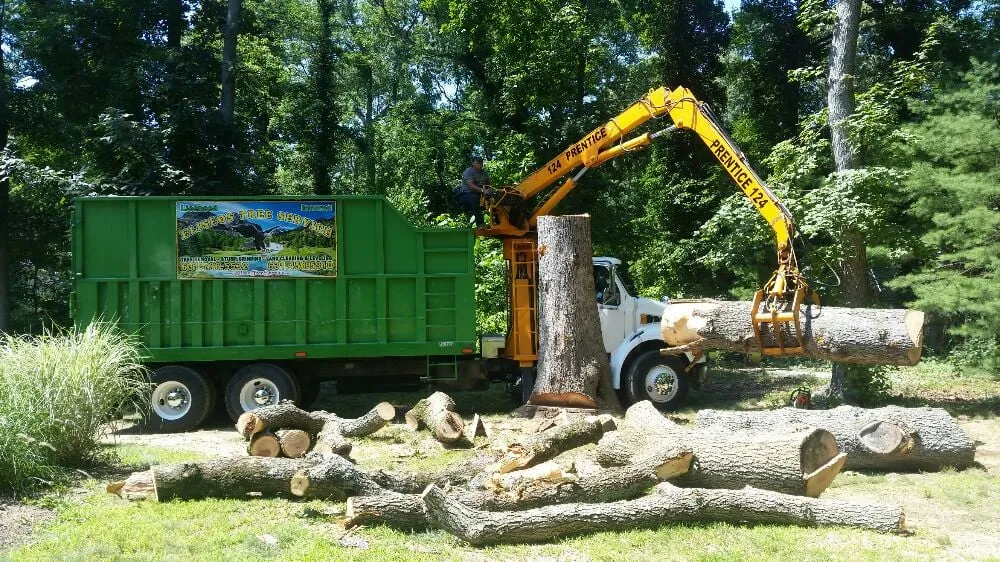 Professional garden landscaping in Brentwood, NY - Tree Ease