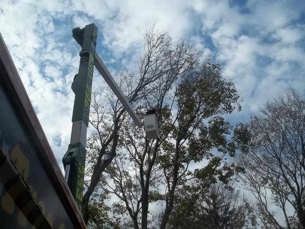 Top-rated landscape installation for homes in Brentwood, NY by Tree Ease