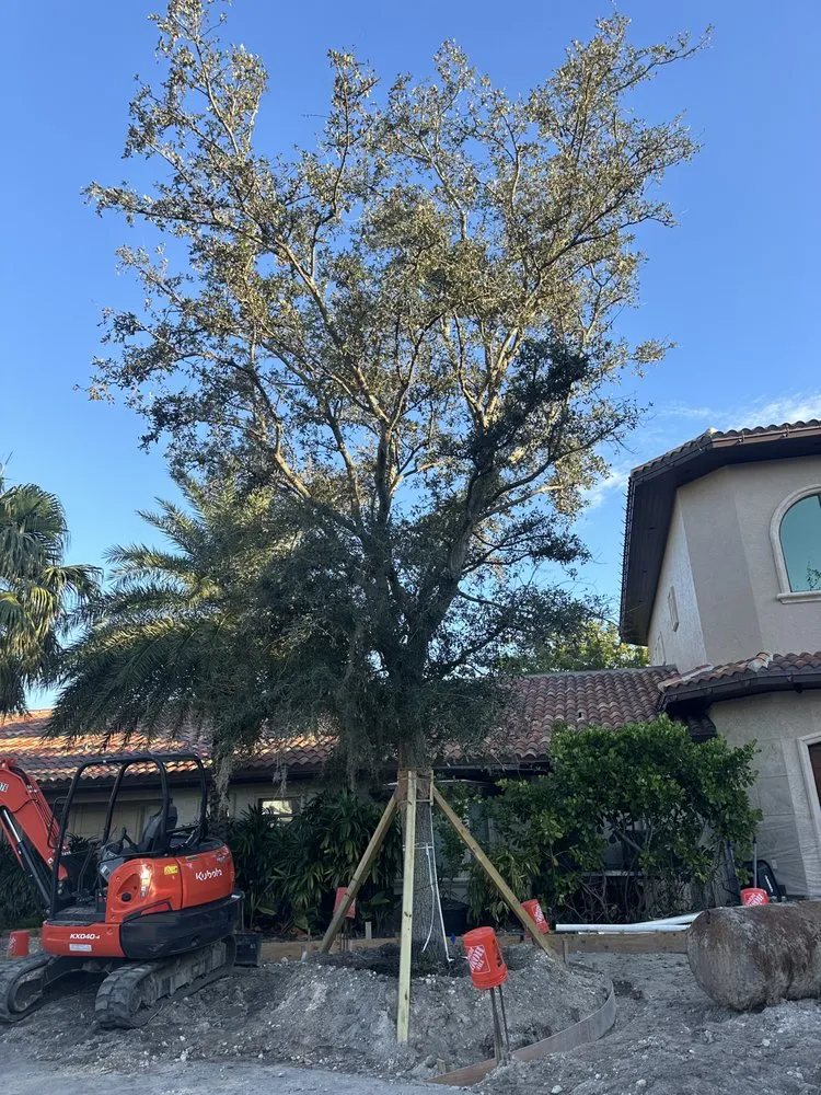 Affordable landscaping services experts serving Fort Lauderdale, FL - Tree Factory Landscaping