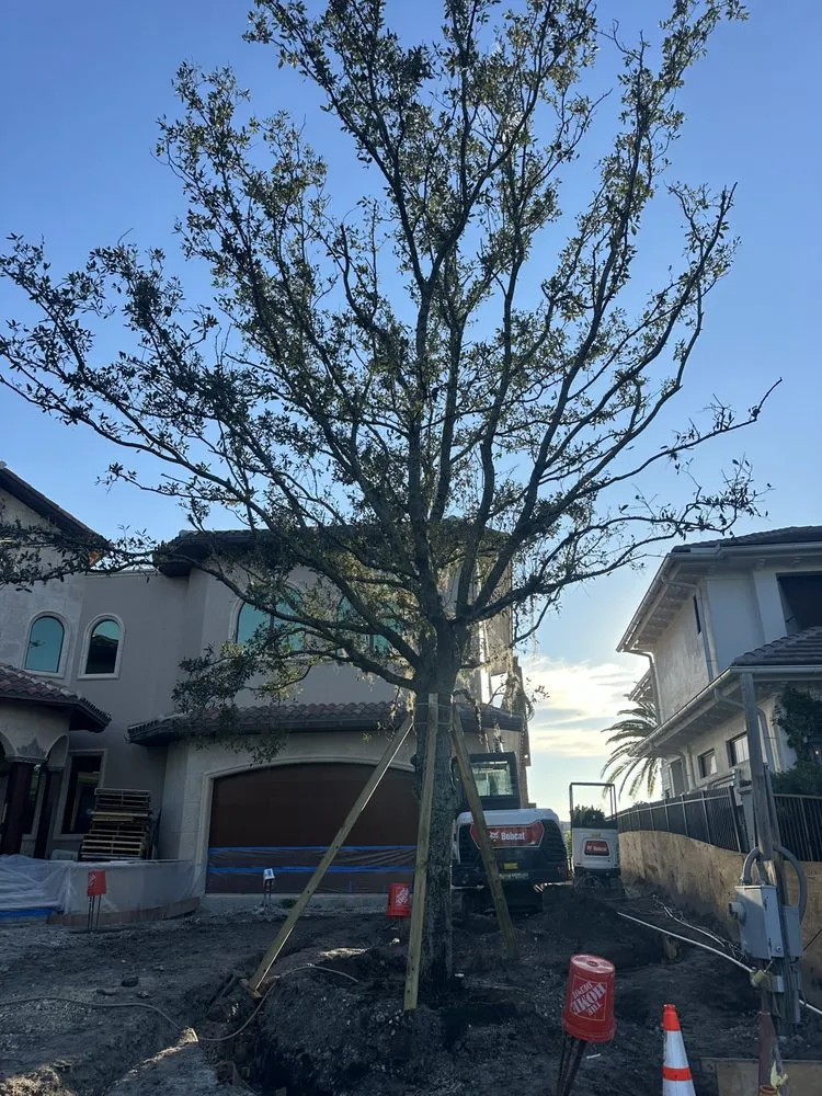 Top-rated landscape design for outdoor upgrades in Fort Lauderdale, FL by Tree Factory Landscaping