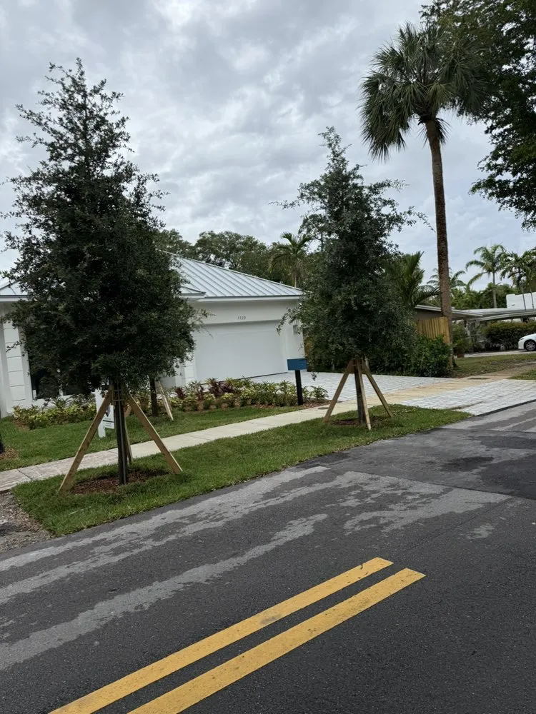 Reliable lawn mowing service for residential properties in Fort Lauderdale, FL by Tree Factory Landscaping