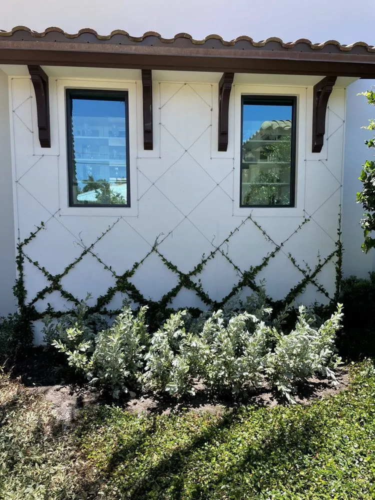 Local yard cleanup service experts serving Fort Lauderdale, FL - Tree Factory Landscaping