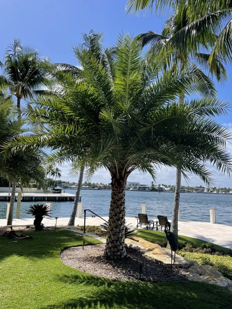 Affordable outdoor landscaping in Fort Lauderdale, FL by Tree Factory Landscaping