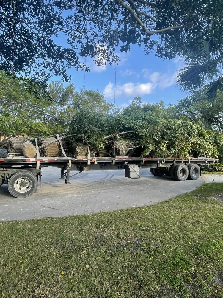 Custom lawn care service for outdoor upgrades across Fort Lauderdale, FL - Tree Factory Landscaping
