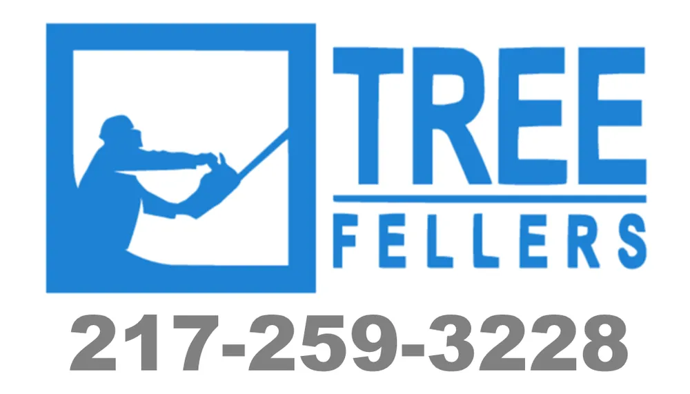 Expert landscaping services in Mattoon, IL - Tree Fellers