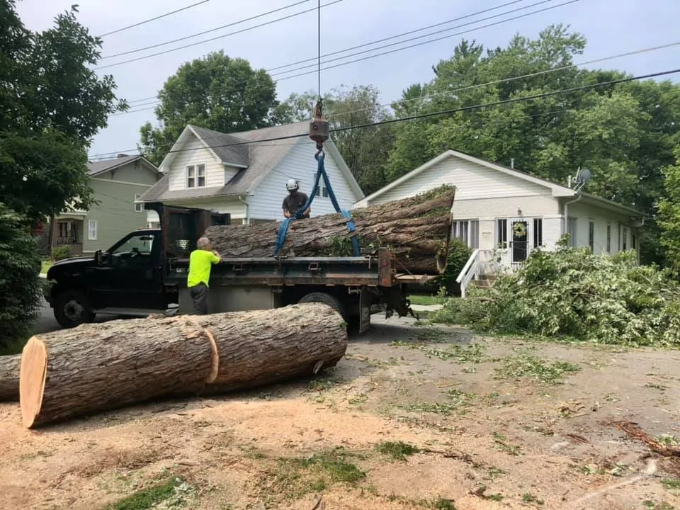 Local landscaping services for homes in Mattoon, IL by Tree Fellers