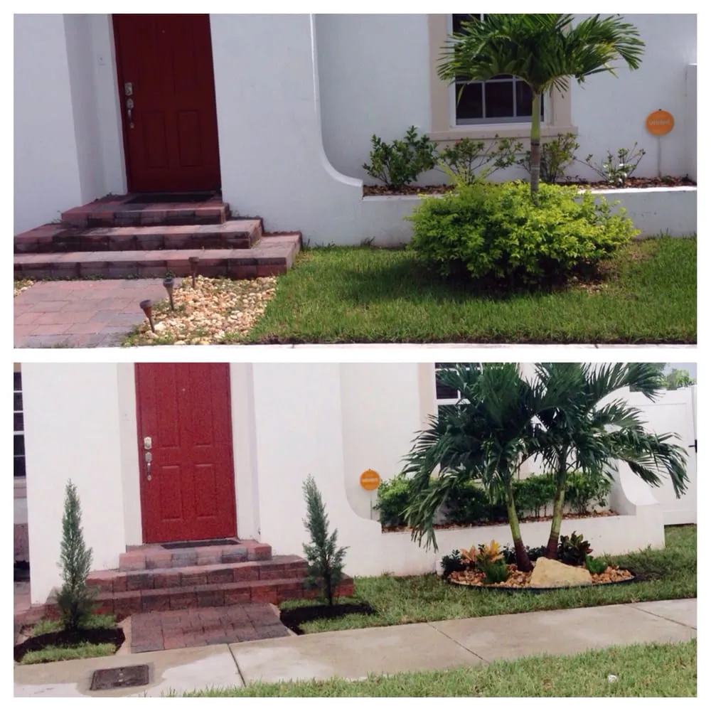 Custom lawn care service in Miami, FL - Tree Finders