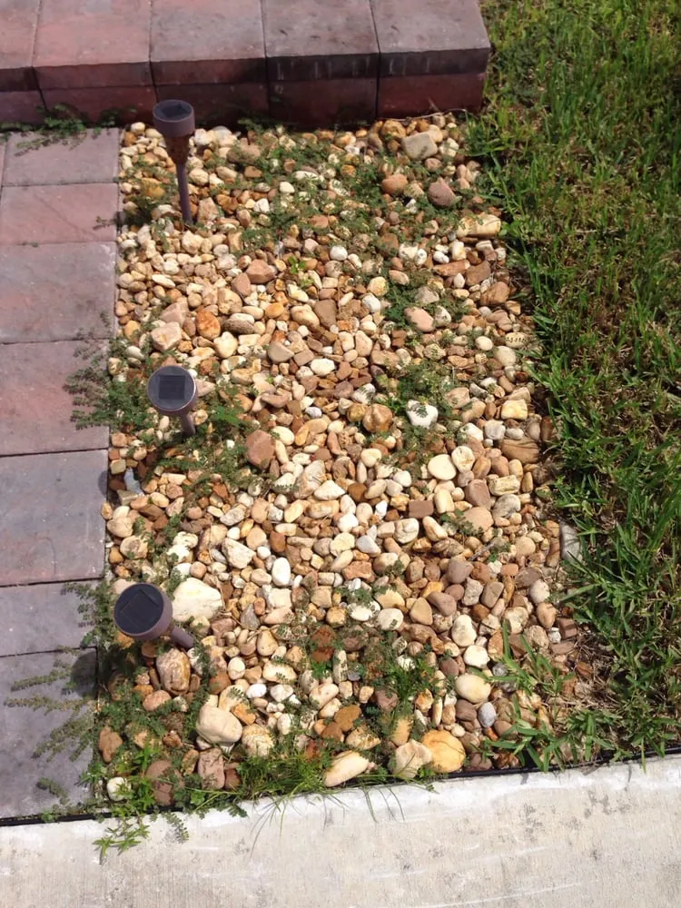 Expert yard cleanup service in Miami, FL by Tree Finders