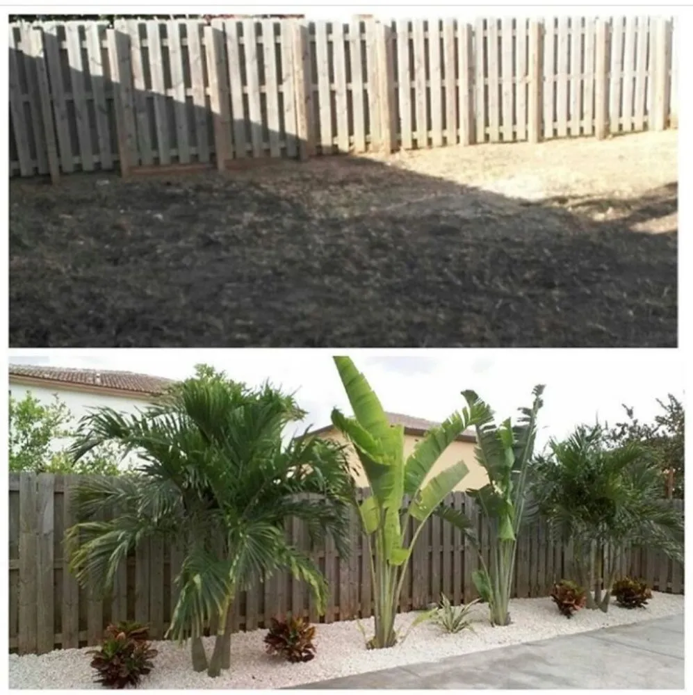 Local landscape design in Miami, FL - Tree Finders