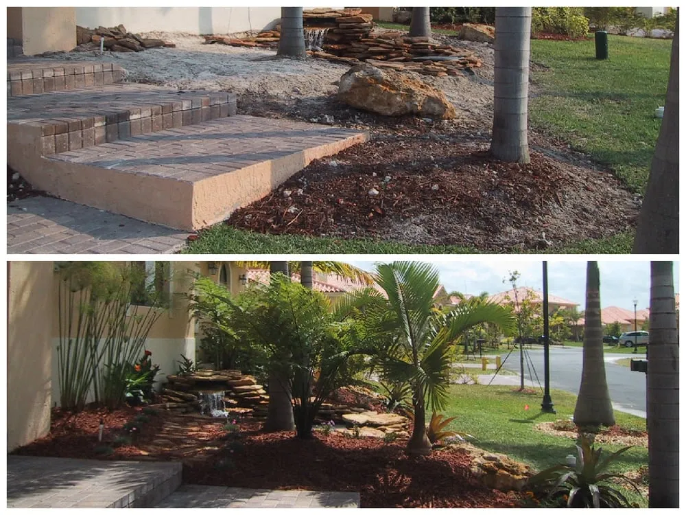 Expert landscape design in Miami, FL - Tree Finders