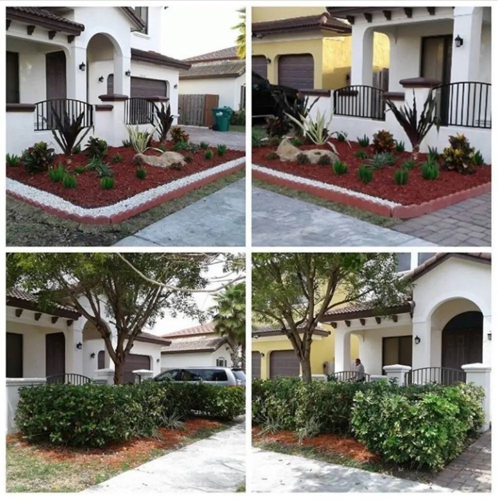 Local lawn care service in Miami, FL - Tree Finders