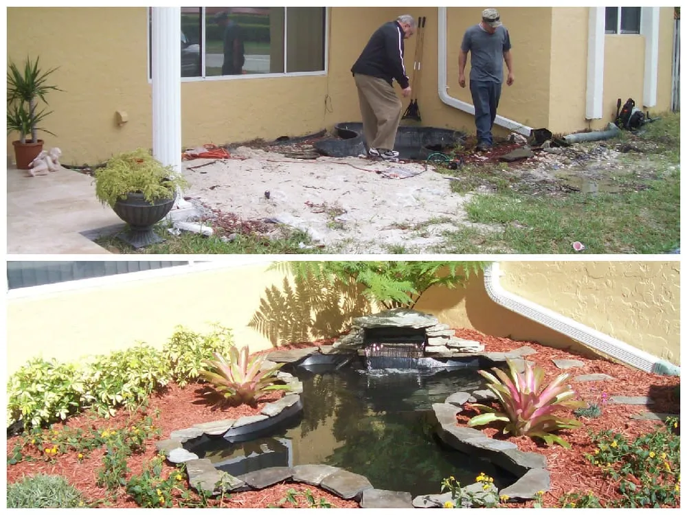 Top-rated landscape installation in Miami, FL - Tree Finders