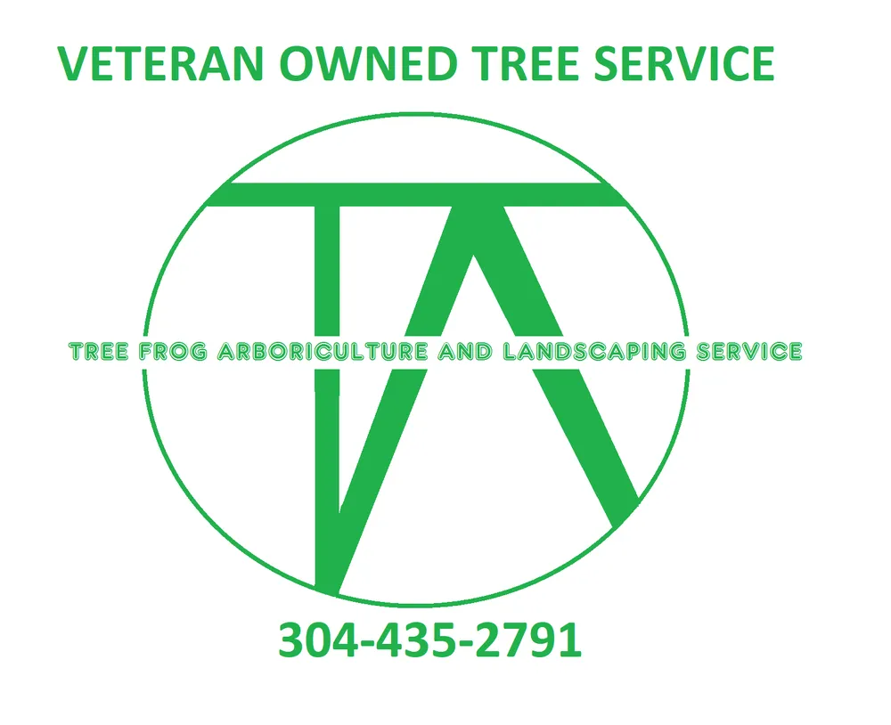 Affordable landscape design for outdoor upgrades across Bruceton Mills, WV - Tree Frog Arboriculture