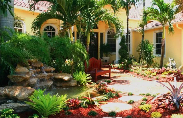 Professional landscaping services experts serving Ocala, FL - Tree Frog Landscaping