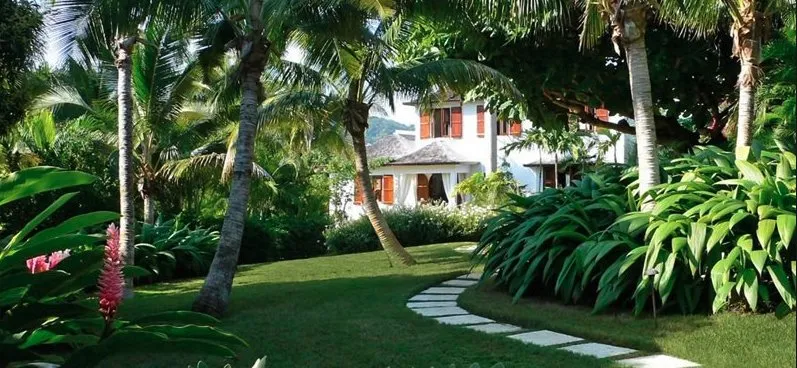 Custom yard maintenance in Ocala, FL - Tree Frog Landscaping