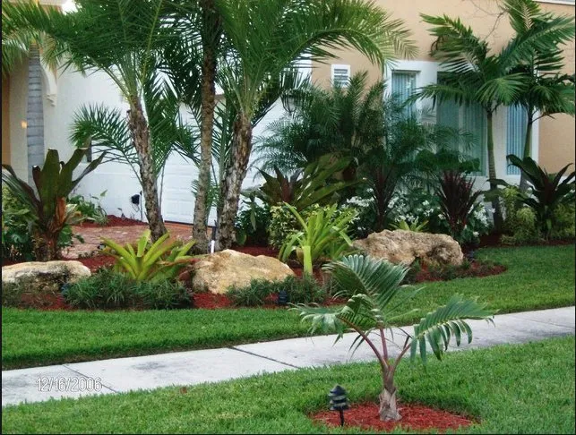 Trusted yard cleanup service near you across Ocala, FL - Tree Frog Landscaping