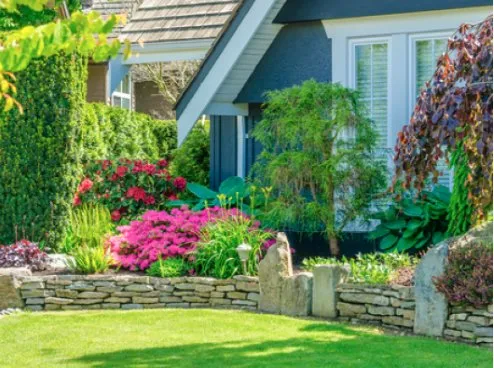 Local landscaping services in Ocala, FL - Tree Frog Landscaping