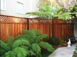 Local lawn mowing service experts serving Ocala, FL - Tree Frog Landscaping