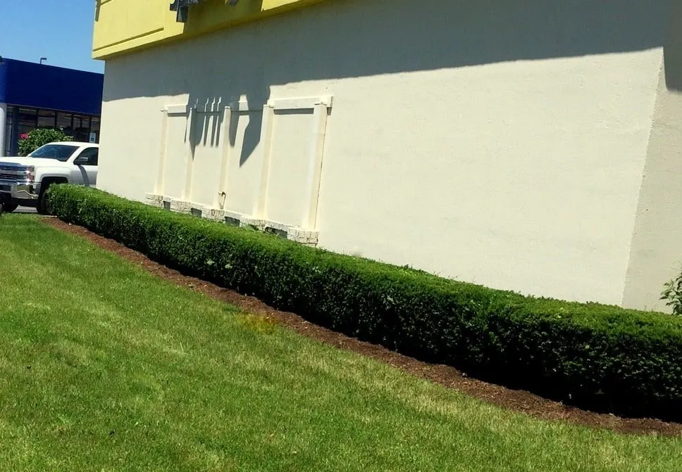 Local garden landscaping for homes in Elk Grove Village, IL by Tree Frog Lawn Care