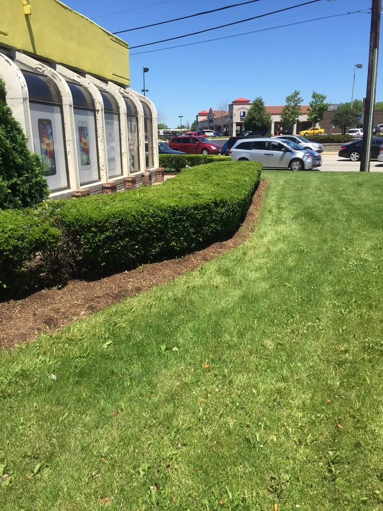 Top-rated residential landscaping in Elk Grove Village, IL by Tree Frog Lawn Care