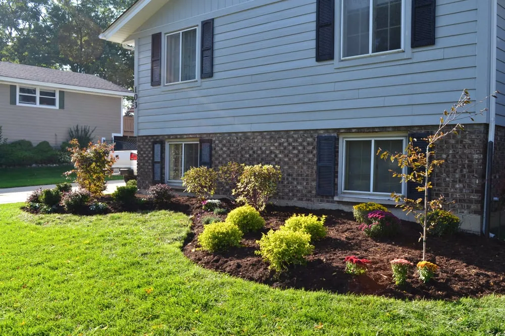 Reliable yard cleanup service experts serving Elk Grove Village, IL - Tree Frog Lawn Care