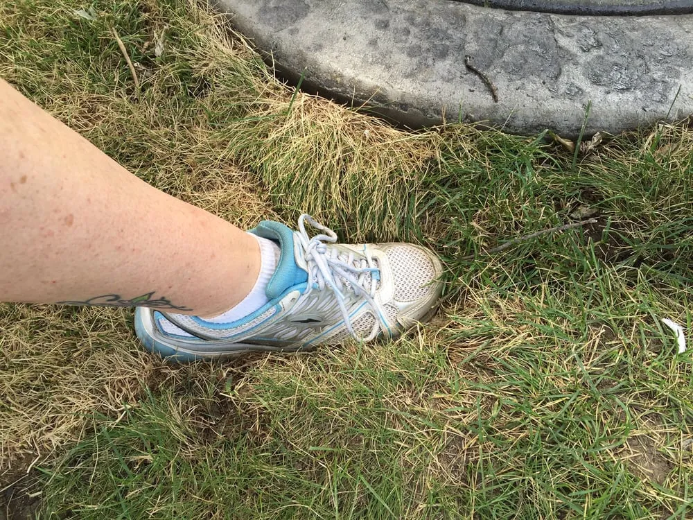 Professional lawn care service for year-round maintenance in Elk Grove Village, IL by Tree Frog Lawn Care