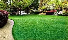 Reliable landscaping services near you across Pleasantville, NJ - Tree Frog Lawn Care